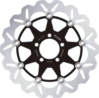 Ducati Monster 695 [2007-2008] - brzdové kotouče – obrázek 10