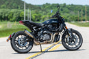 Indian Ftr 1200 S [2019-2020, 2020-2022] - Grand National Slip-On Schalldämpfer – Bild 2