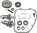 Harley-Davidson FLRT 1690 Freewheeler [2015-2016] - Kettenantrieb Nockenwellen-Kit – Bild 10