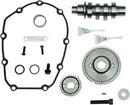 Harley-Davidson FLRT 1868 Freewheeler 114 [2025] - 465 Nockenwellen-Kit – Typ: Getriebezahnrad – Bild 6