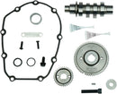 Harley-Davidson FLHTCUTG 1868 Tri Glide Ultra 114 [2025] - 465 Nockenwellen-Kit – Typ: Getriebezahnrad – Bild 2