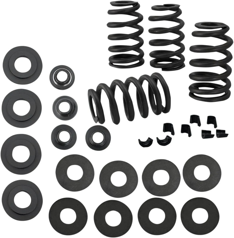 Harley-Davidson Xl 883 R Roadster [2004, 2009-2010, 2013] - 0,585" Ventilfedersatz – Bild 1