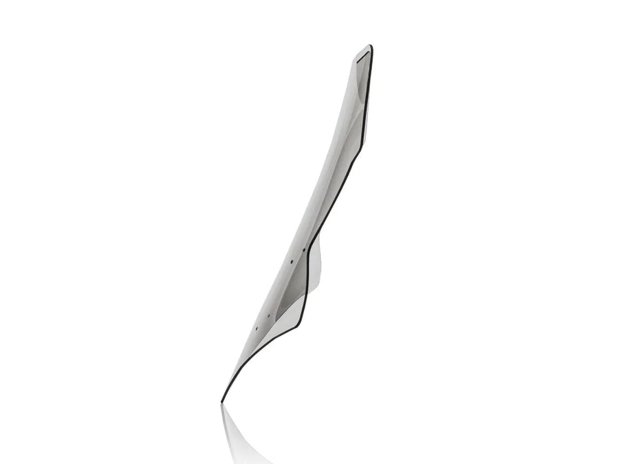 Tracer Yamaha 9 GT [WRS] - Windschild