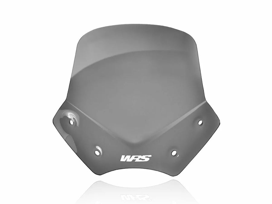 BMW R 1200 R [WRS] - čelní sklo