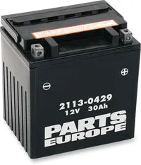 BMW F 650 GS Dakar [PARTS EUROPE] – Baterie Parts Europe