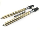 Honda Vtr 1000 SP 1 SC45 [2001] - Fork Telegabel s osou-9