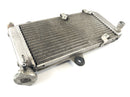 Yamaha XT 660 DM01 [2004] - Cool Water Cooler-3