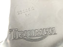 Triumph Daytona 900 T300 [1993] - Ochlada ochrany motoru doleva a pravé motory-4