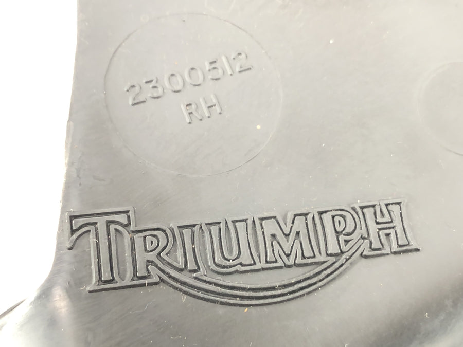 Triumph Daytona 900 T300 [1993] - Ochlada ochrany motoru doleva a pravé motory