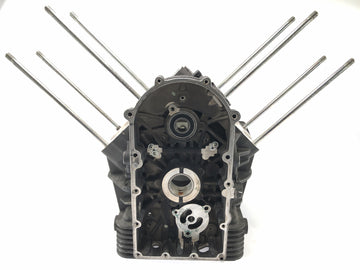 Moto Guzzi Stelvio 1200 4V [2009] - Motor Housing prázdné pouzdro - 0