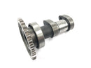Suzuki RM Z 250 RJ41A [2007] - Vačkový hřídel sání vačkového hřídele-2