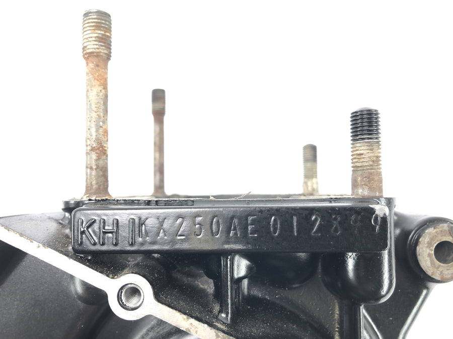 Kawasaki KX 250 [1982] - Blok motoru s motorickým krytem motoru s motorem pro kliku