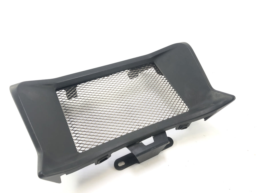 BMW R 1200 R [2007] - Chladicí mřížka Cover Cooler