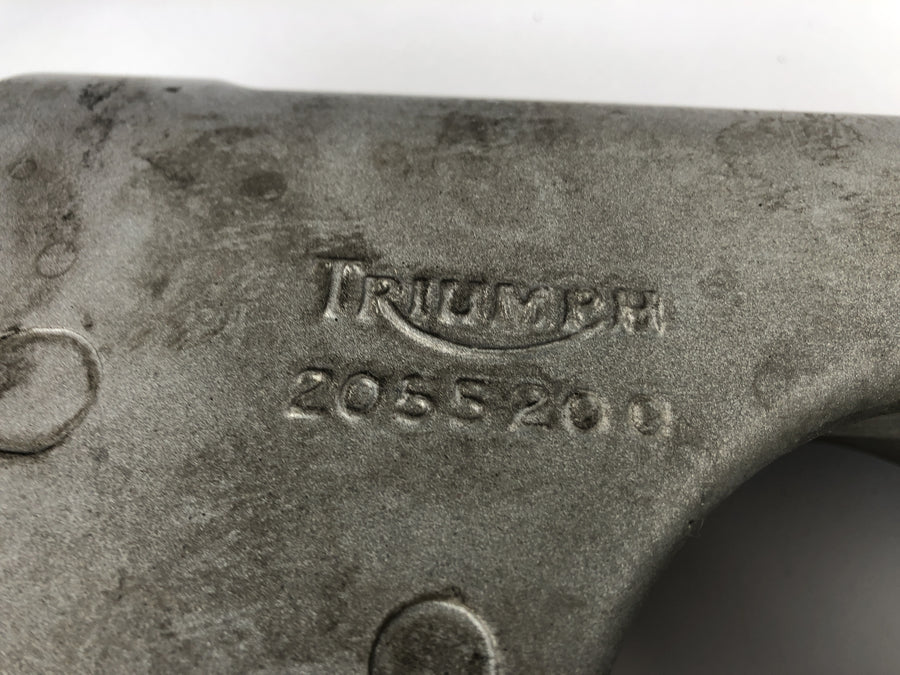 Triumph Speed ​​Triple 955i [1999] - Swinging Einlarwinge