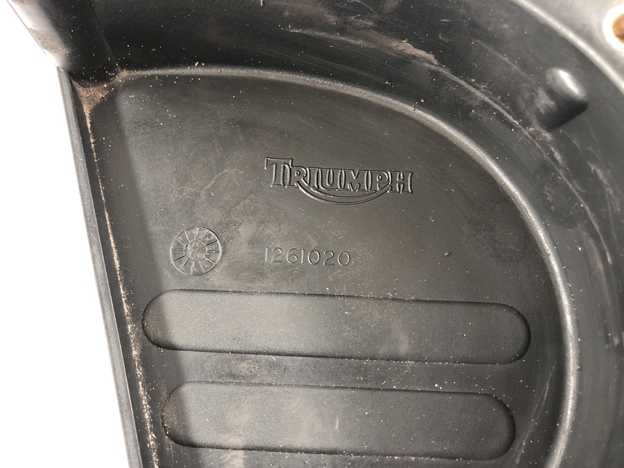 Triumph Speed ​​Triple 955i [1999] - Pineager pokrytí