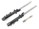 Kawasaki Zrx 1200 S ZRT20A [2002] - Fork Telegabel s osou-1