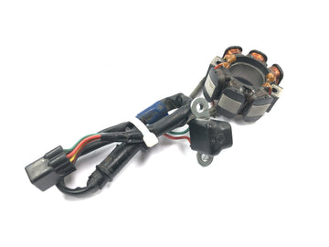 Suzuki RM Z 250 RJ41A [2007] - generátor statoru, zapalovací cívka, alternátor - 0