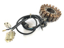 Yamaha XT 660 DM01 [2004] - Stator s alternátorem vyzvednutí-4