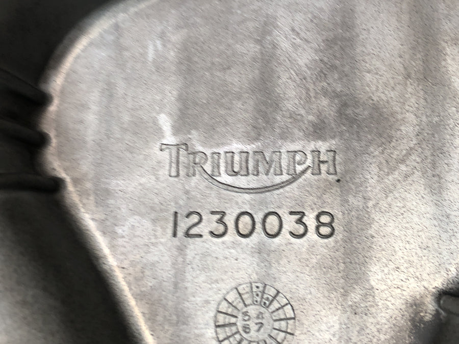 Triumph Daytona 900 T300 [1996] - Kryt motoru olejové vany