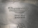 Triumph Speed ​​​​Triple T509 [1998] - lavicové sedadlo řidiče-3