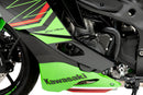 KAWASAKI ZX-4RR NINJA [2025] – Ochranná dráha motoru pro mistrovství-1