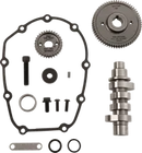 Harley-Davidson Fxlrs 1923 ABS [2025] - 618 F Series Kettenantrieb-Nockenwelle – Bild 8