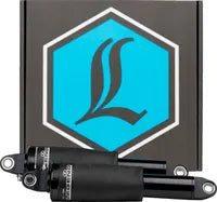 Harley-Davidson FLRT 1868 Freewheeler 114 [2022-2025] - AIR-Federung für Trike – Bild 3