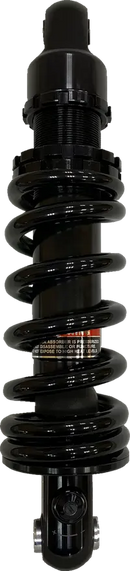 Harley-Davidson FLHCS 1923 Softail Heritage Classic 117 [2025] - 12 mm Lambdasonde – Bild 5