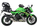 Kawasaki Ninja 125 [2018-2020] - Tanking Basic včetně protějšku tanku-1