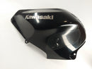 Kawasaki ZX -12R ZXT20A [2004] - Cladding Cover Tank Tank Cladding-2