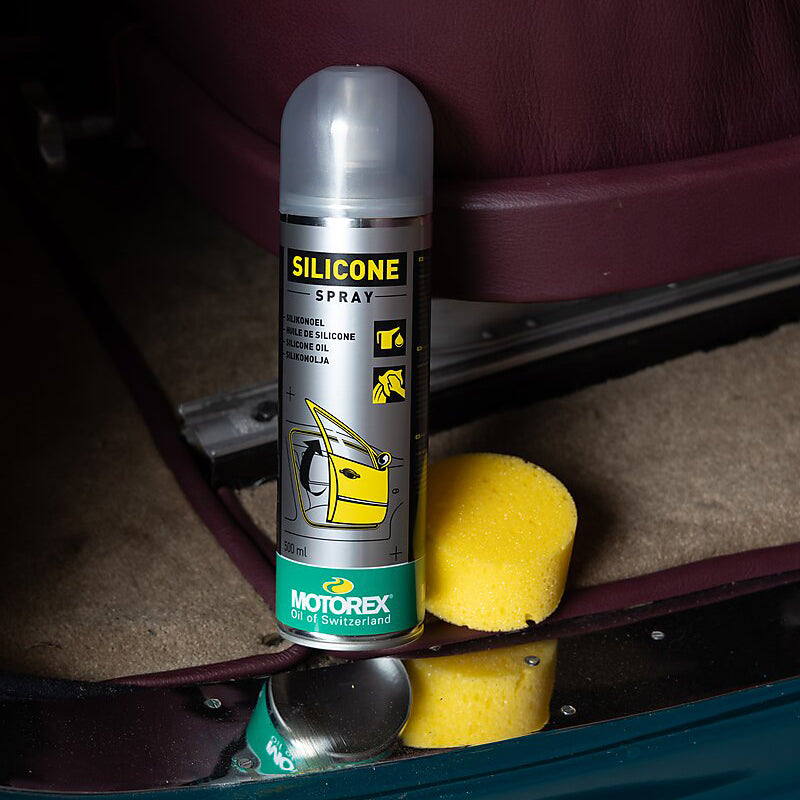 BMW F 850 GS [2018-2024] - Silicone Spray