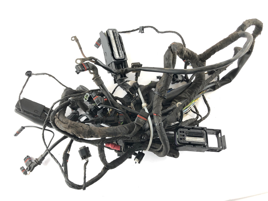 BMW F 800 ST [2006] - Kabelový svazek