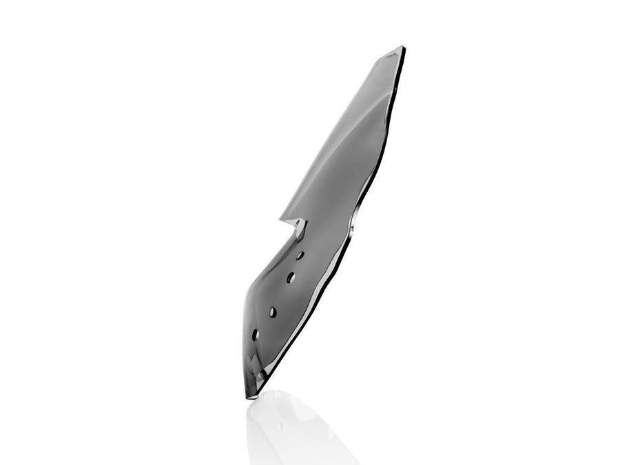 BMW R 1200 R [2015-2018] - Sport Windschild – Ansicht 5